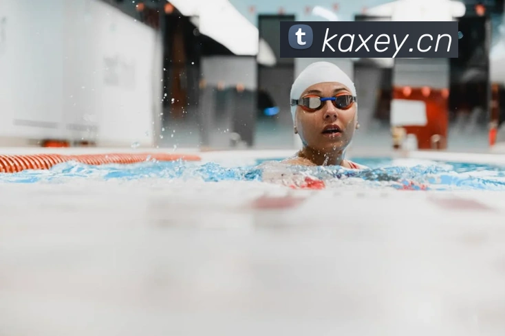 星空体育官网首页登录平台生态图